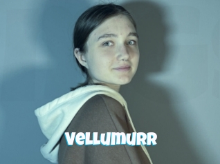 Vellumurr