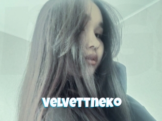 Velvettneko