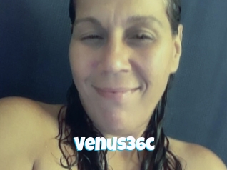Venus36c