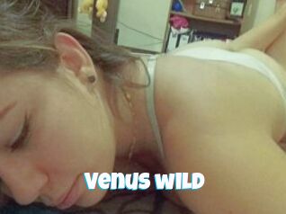 Venus_wild