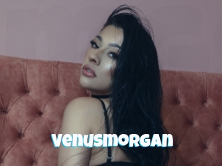 Venusmorgan