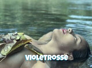 Violetrosse