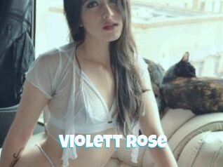 Violett_rose