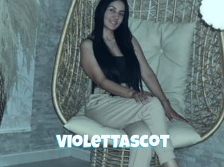Violettascot