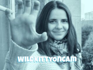 WildKittyOnCam