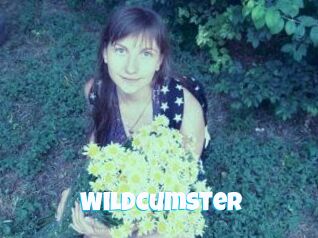 Wildcumster