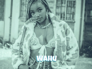 Wahu