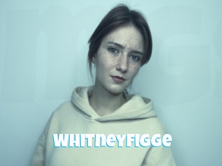 Whitneyfigge