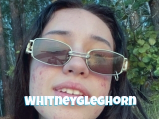 Whitneygleghorn