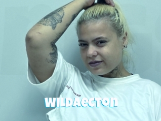 Wildaecton