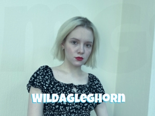 wildagleghorn Miss Gros Seins