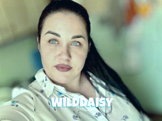 Wilddaisy