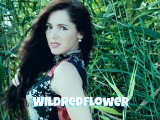 Wildredflower