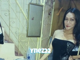 Ynez22