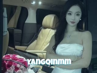 Yangqinmm