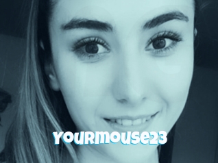 Yourmouse23