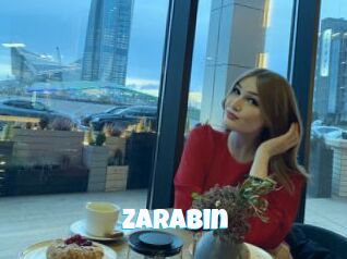 ZaraBin