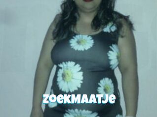 ZoekMaatje