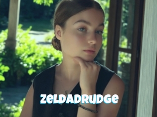 Zeldadrudge