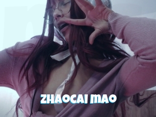Zhaocai_mao