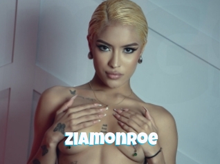ziamonroe Miss Gros Seins